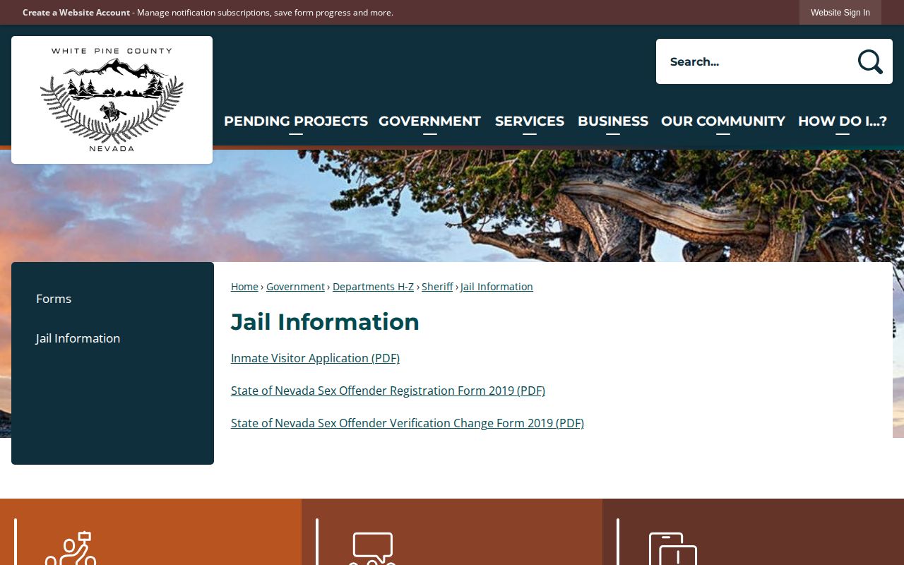White Pine County Jail Information page for arrest and custody records